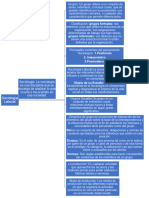 Mapa Conceptual Cap II