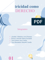 Derecho Electrico