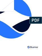 Blueriver QA Assessment Recommendations, Strategy and Proposal - v1.0