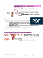 Sistema Reproductor Femenino Parte 1