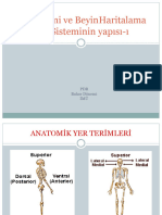 Sinir Sisteminin Yapısı Nöroanatomi I