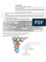 IV. La Traduction: Document 1: Les Différents Acteurs Intervenant Dans La Synthèse D'une Protéine: La TRADUCTION
