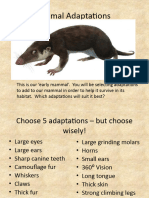 Animal Adaptations-Game