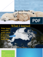 The Polar Bears