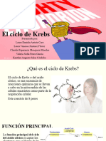 El ciclo de Krebs