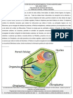 Ev de Biologia La Celula