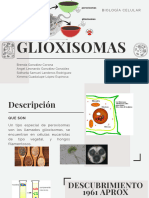 Glioxisomas