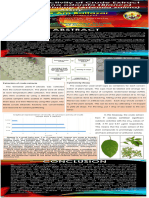 2x5 Template SIP TES Grade 6 LSI