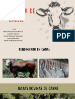 Presentación Etología y Adiestramiento Canino Ilustraciones Divertidas Tonos Crema Pastel
