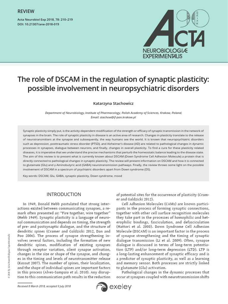 DSCAM's Role in Synaptic Plasticity | PDF | Synapse | Synaptic Plasticity