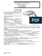 Ficha de Trabalho - Arg - Evolucionismo