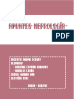 Apuntes Nefro (Principal)