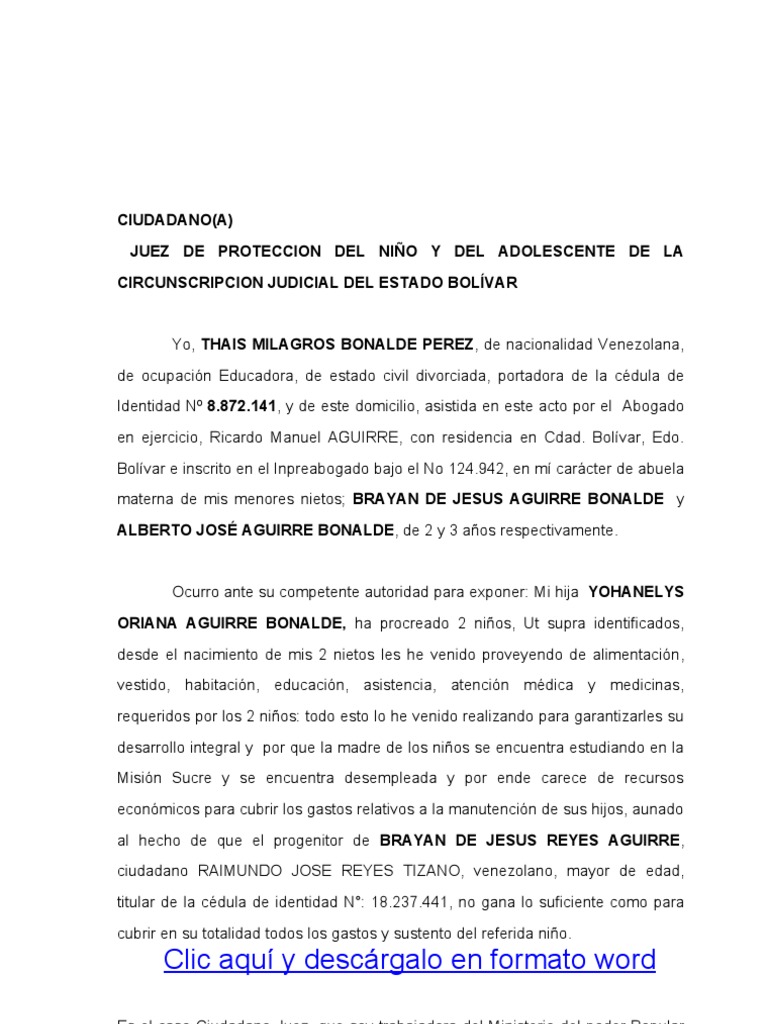 Formato Modelo Ejemplo Justificativo de Carga Familair