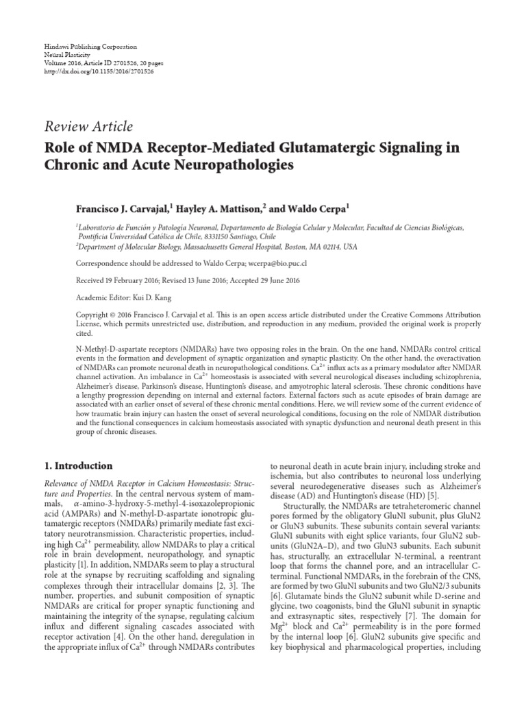 NP2016 2701526 | PDF | Nmda Receptor | Synapse