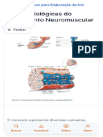 Bases Fisiológicas Do Treinamento Neuromuscular - Musculação Bases para Elaboração de Um Treinamento Estácio Cursos Livres