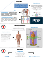 Anatomia Primeros Auxiliospdf.