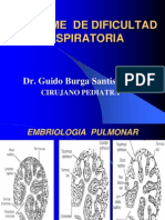 Sindrome Dificultad Respiratoria Expo Sic Ion Santa Rosa (Copia)