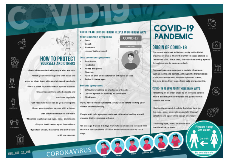 Covid 19 Pandemic | PDF