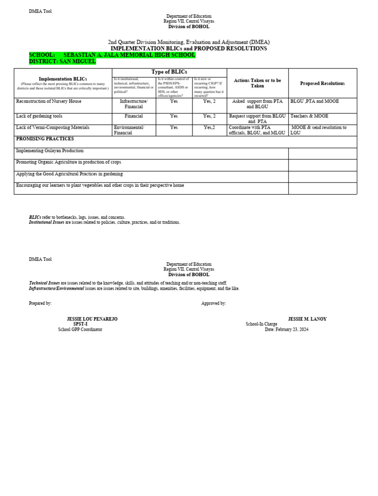 DMEA Tool: BLICs and Resolutions | PDF