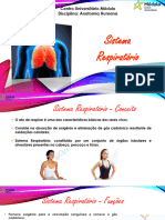 Aula 9 - Anatomia - Sistema Respiratório Alessandra