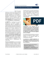 PDF Asimilación de Nutrientes