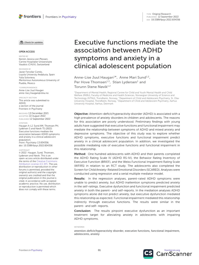 Executive Functions Mediate The Association Between ADHD Symptoms and ...