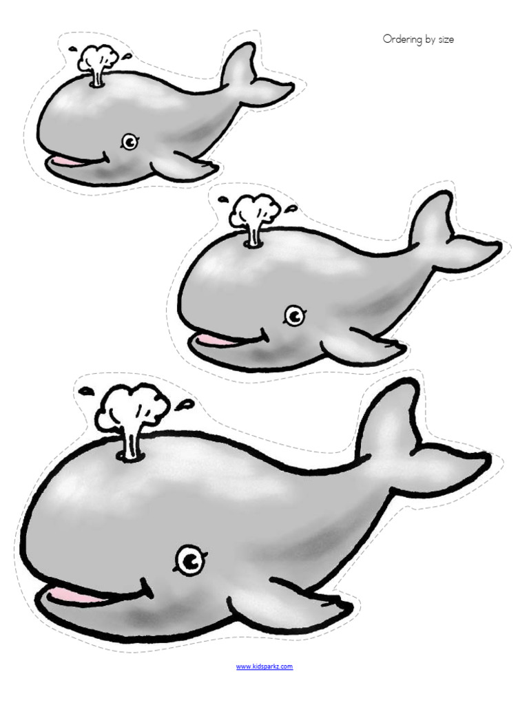 Whales_order_by_size | PDF