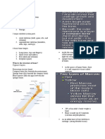 SKELETAL SYSTEM Reviewer