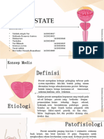 KLP 2 - Ca Prostat