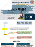 Regimen Minero