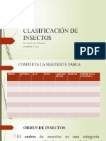Clasificación de Insectos