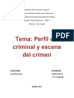 Tema Perfil Del Criminal