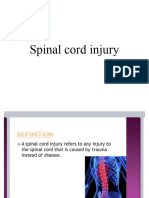Spinal Cord Inj