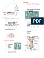 The Bony Thorax Ana - Positioning. Reviewer