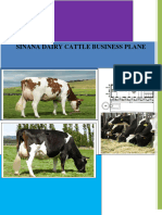 Dairy Cattle Business Plane