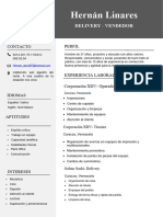 Curriculum Vitae Profesional para Trabajo