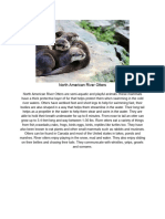 North American River Otters