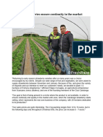 Fortuna Strawberries Ensure Continuity in The Market