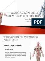 Irrigacion Miembros Inferiores