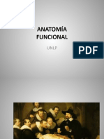 Introducción A La Anatomía Funcional