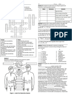 Endocrine System Activity Sheet