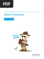 Sales Productivity