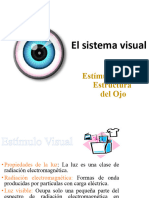 Introducción Al Sistema Visual C.U.