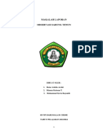 Makalah Laporan Kegiatan Observasi Sarung Tenun