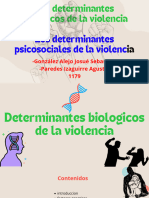 Los Determinantes Biólogicos y Psicosociales de La Violencia