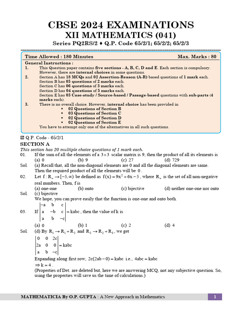 Class 12 Maths Sample Paper 2024 | PDF | Function (Mathematics) | Fuel ...