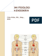 6 Ibd Sistem Endokrin