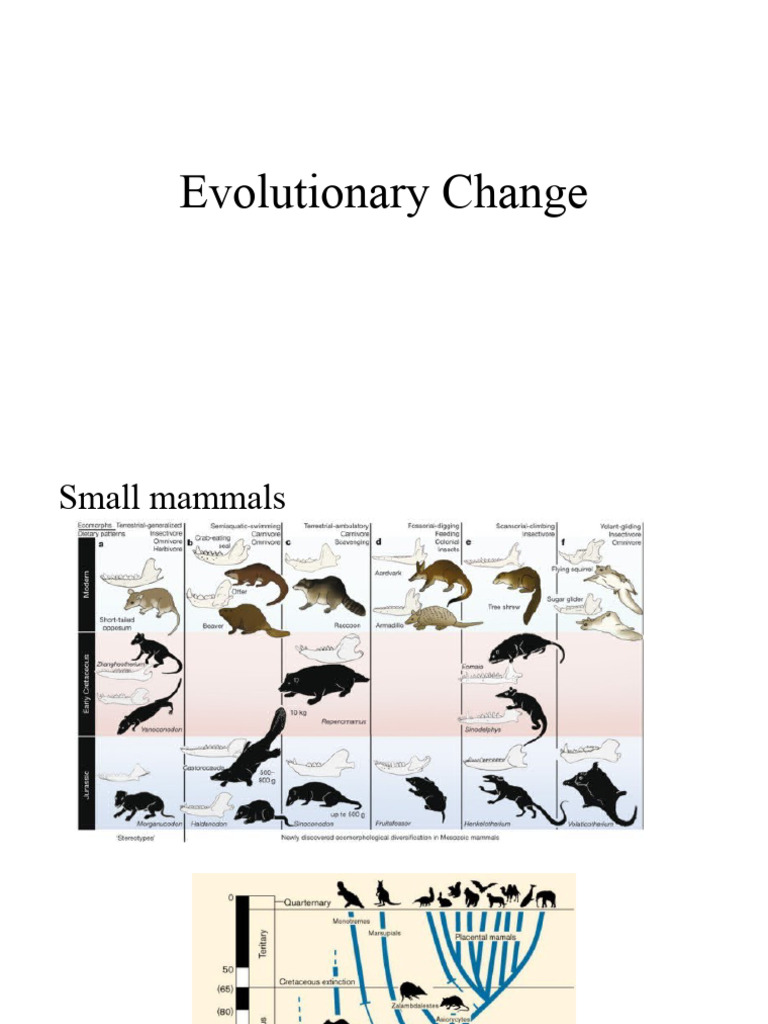 Pleistocene Climate and Megafauna Extinction | PDF | Social Science