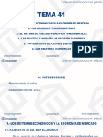 Tema 41 Magister PDF