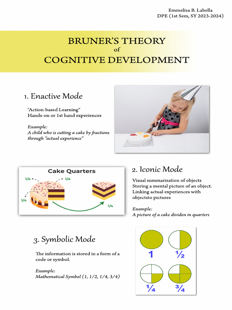 Bruner's Cognitive Development Theory | PDF